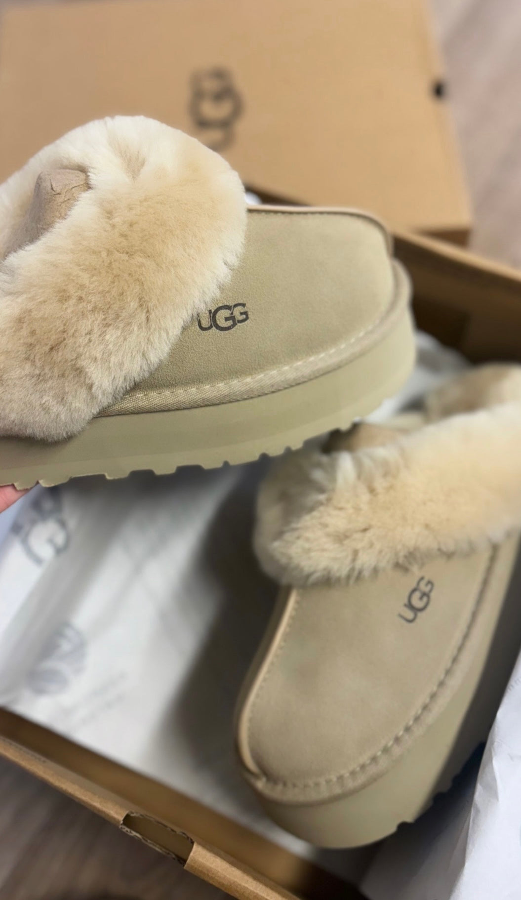 Mustard seed slippers in stock