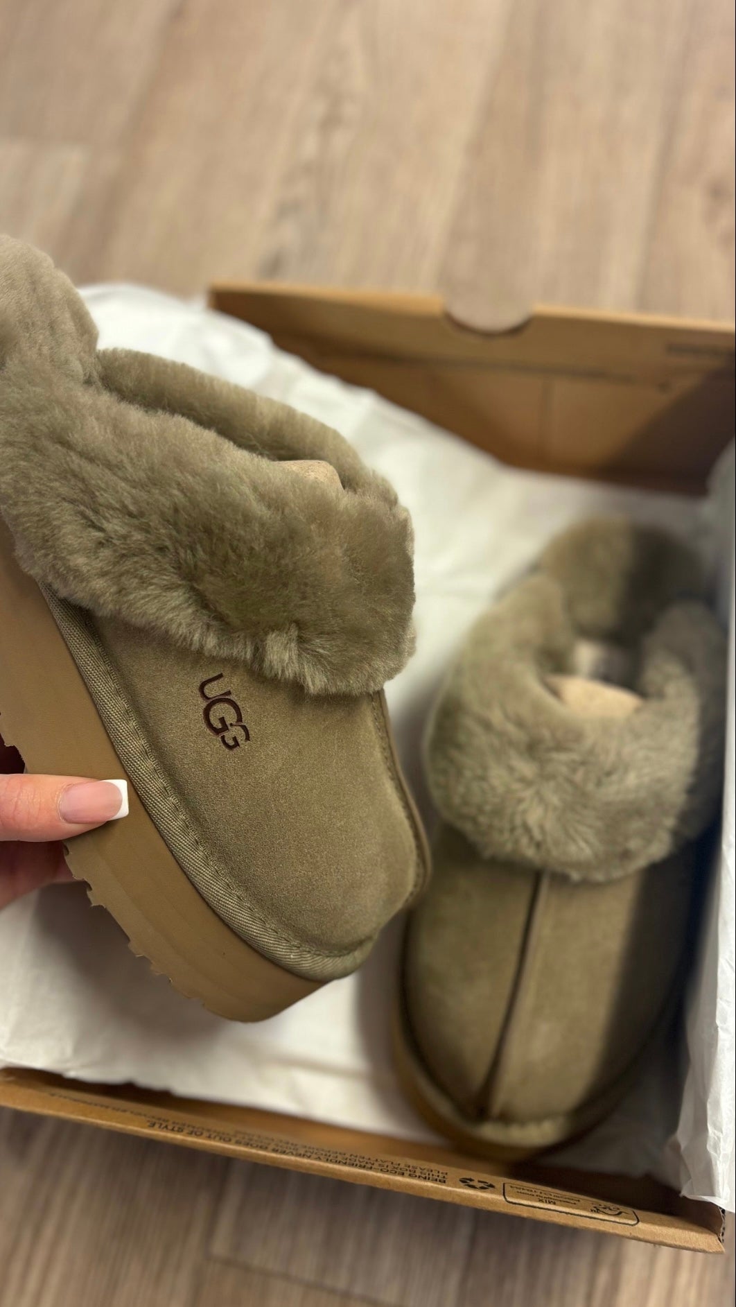 Antelope slippers in stock