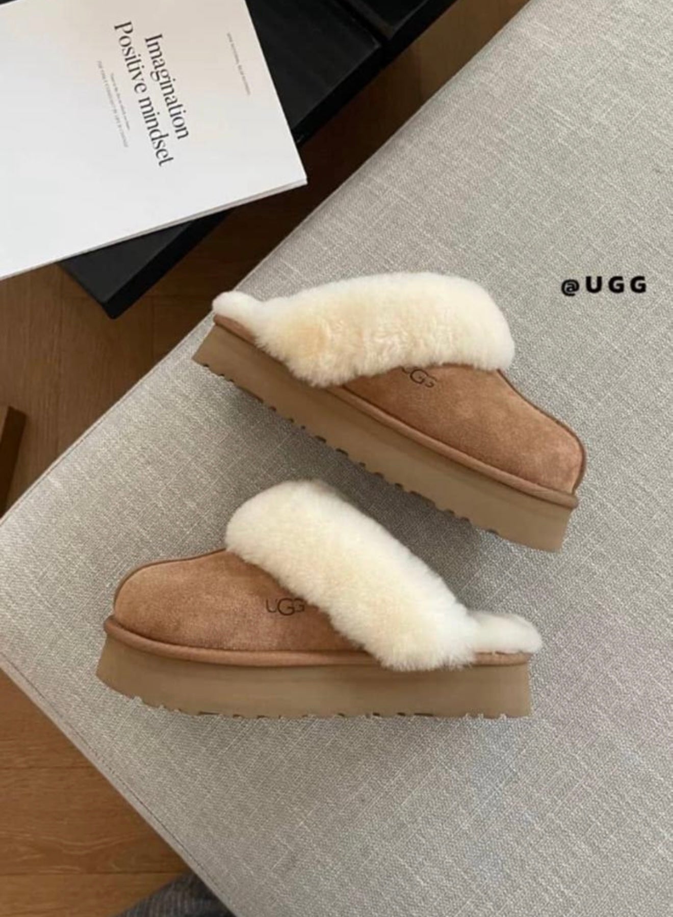 Chestnut slippers